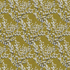 Florida Roman Blind Mimosa