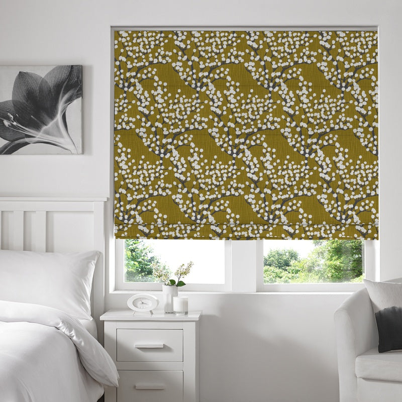 Florida Roman Blind Mimosa