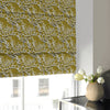 Florida Roman Blind Mimosa