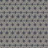 Georgia Roman Blind Danube