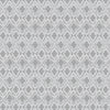 Georgia Roman Blind Silver