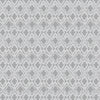 Georgia Roman Blind Silver