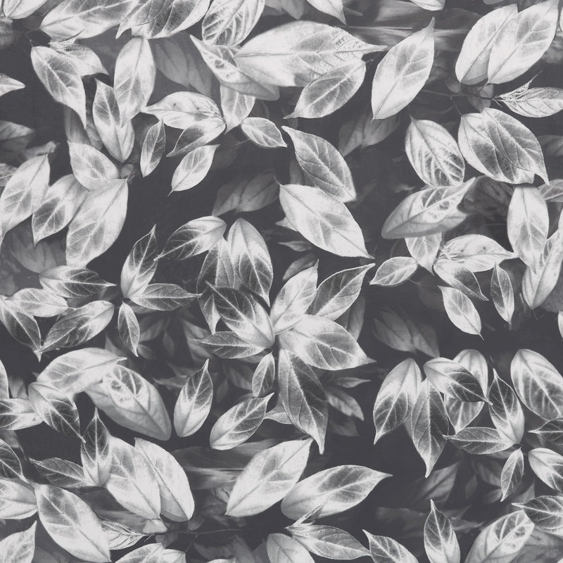 Ashley Wilde Giardino Fabric Slate