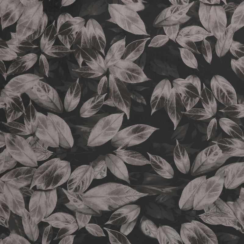 Ashley Wilde Giardino Fabric Truffle