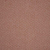 iLiv Hindi Fabric Carnelian