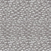 Illinios Roman Blind Mouse