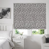 Illinios Roman Blind Mouse
