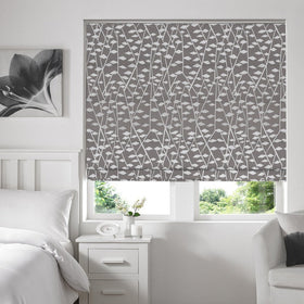 Illinios Roman Blind Mouse