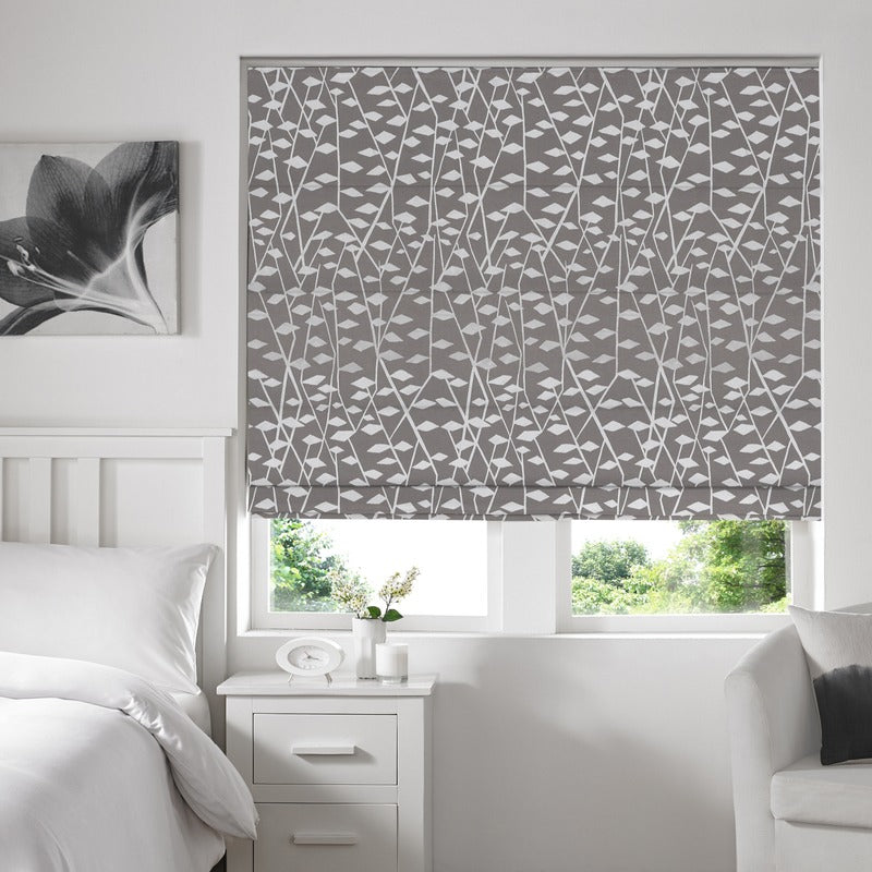Illinios Roman Blind Mouse