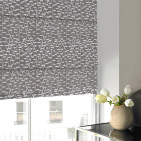 Illinios Roman Blind Mouse