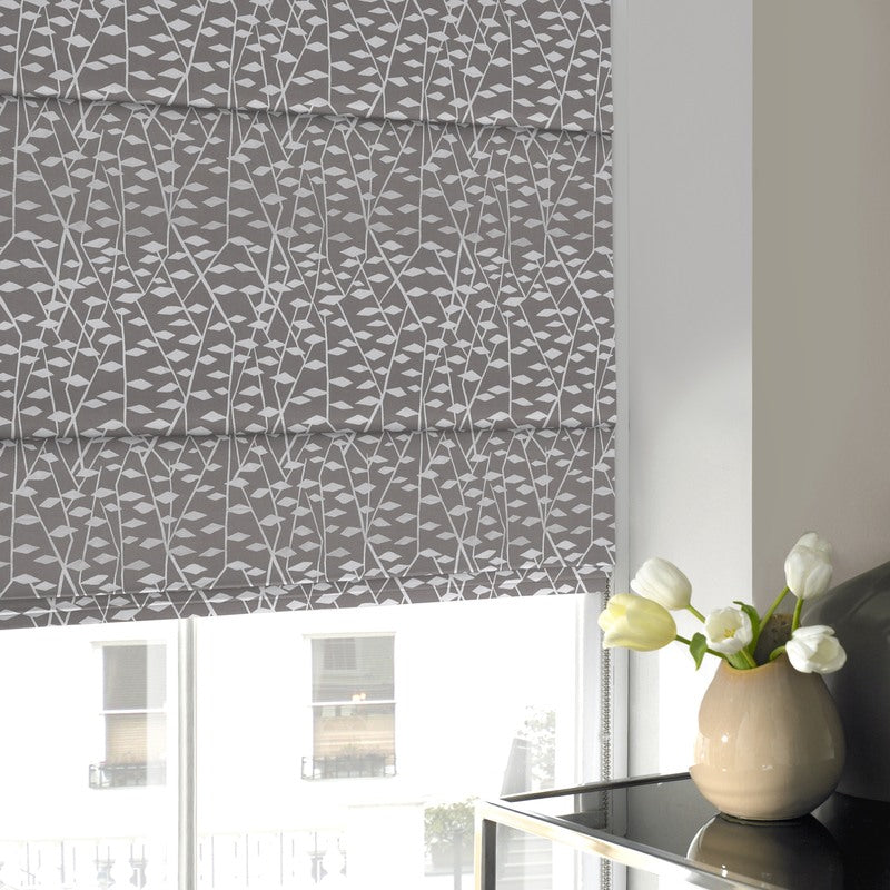 Illinios Roman Blind Mouse