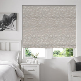 Illinios Roman Blind Oyster