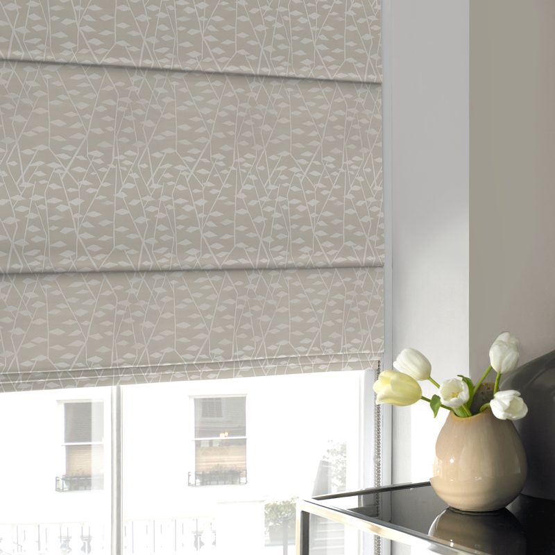 Illinios Roman Blind Oyster
