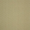 iLiv Kemble Fabric Pistachio