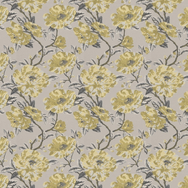 Mason Roman Blind Sunflower