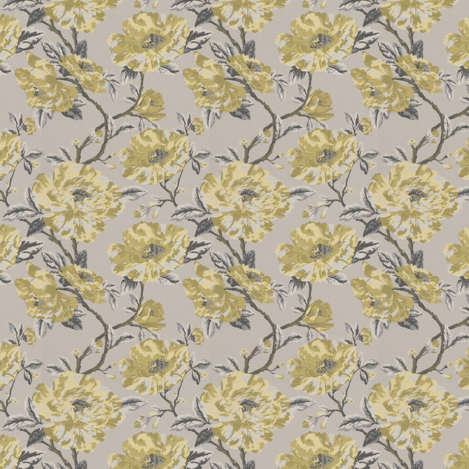 Mason Roman Blind Sunflower