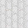 Mexico Roman Blind Oyster