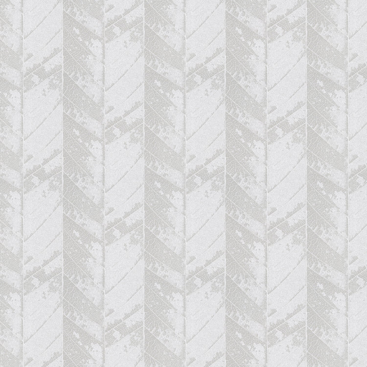 Mexico Roman Blind Oyster