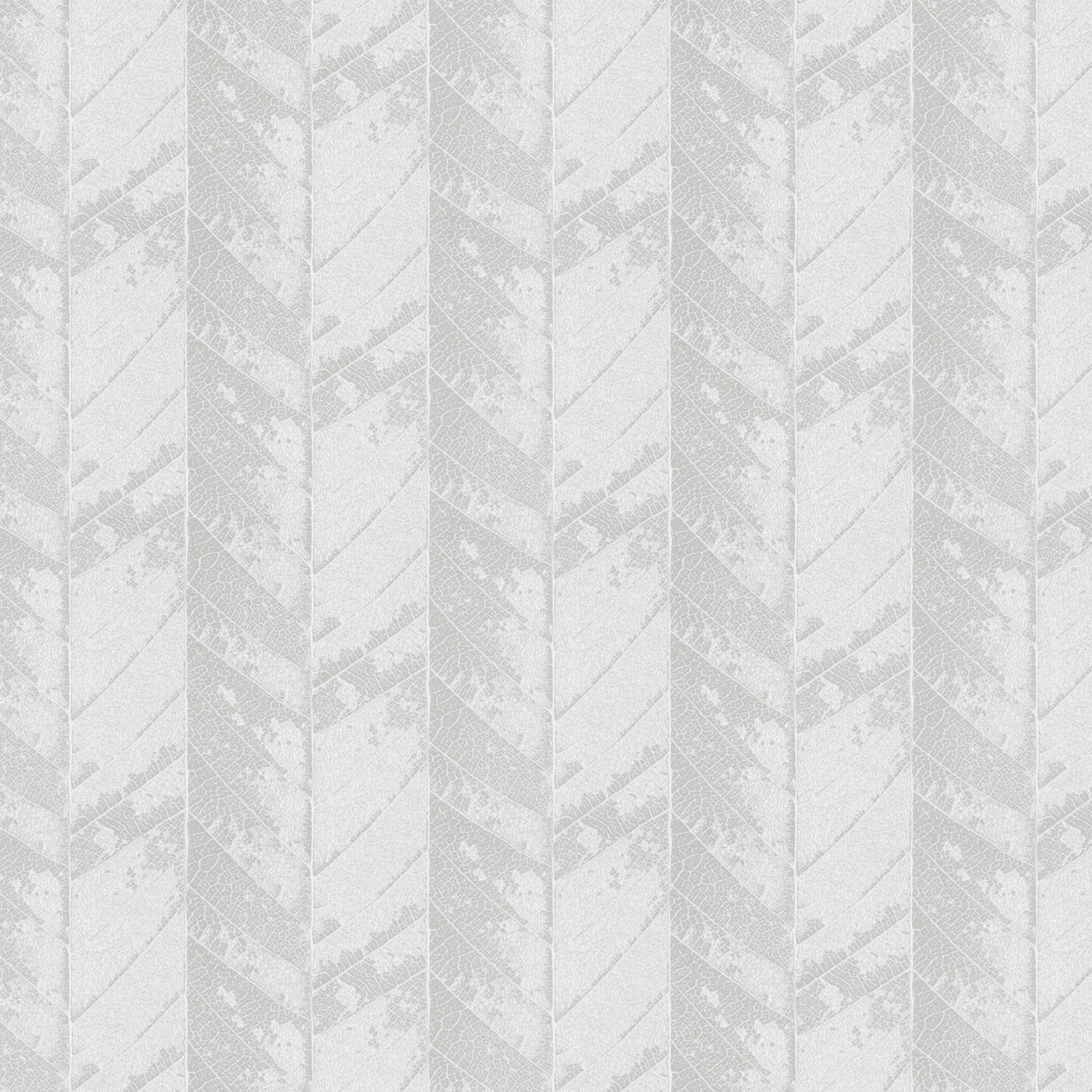 Mexico Roman Blind Oyster
