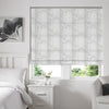 Mexico Roman Blind Oyster
