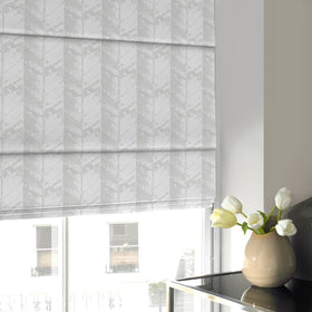Mexico Roman Blind Oyster