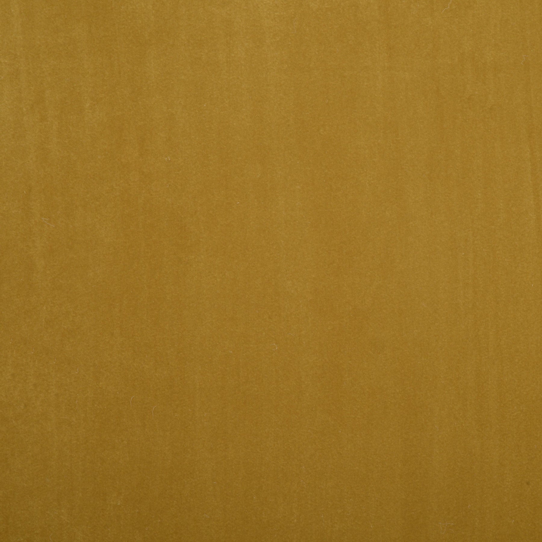Naples Heavy Velvet Fabric Mustard