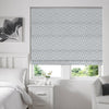Nevada Roman Blind Sky