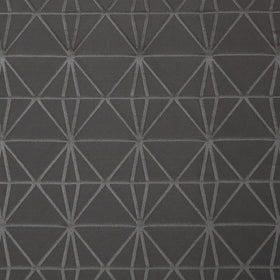 Petronas Curtain Fabric Graphite