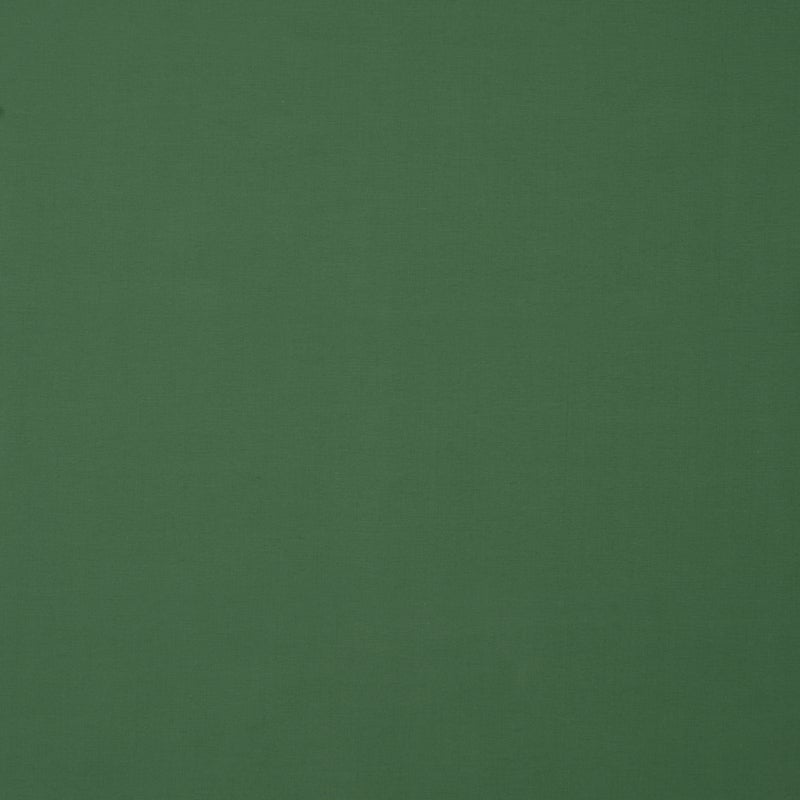 Plain Fabric Green