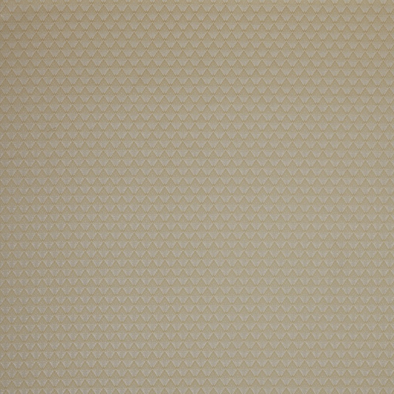 Ashley Wilde Poiret Fabric Champagne