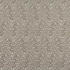 Reef Fabric Fossil