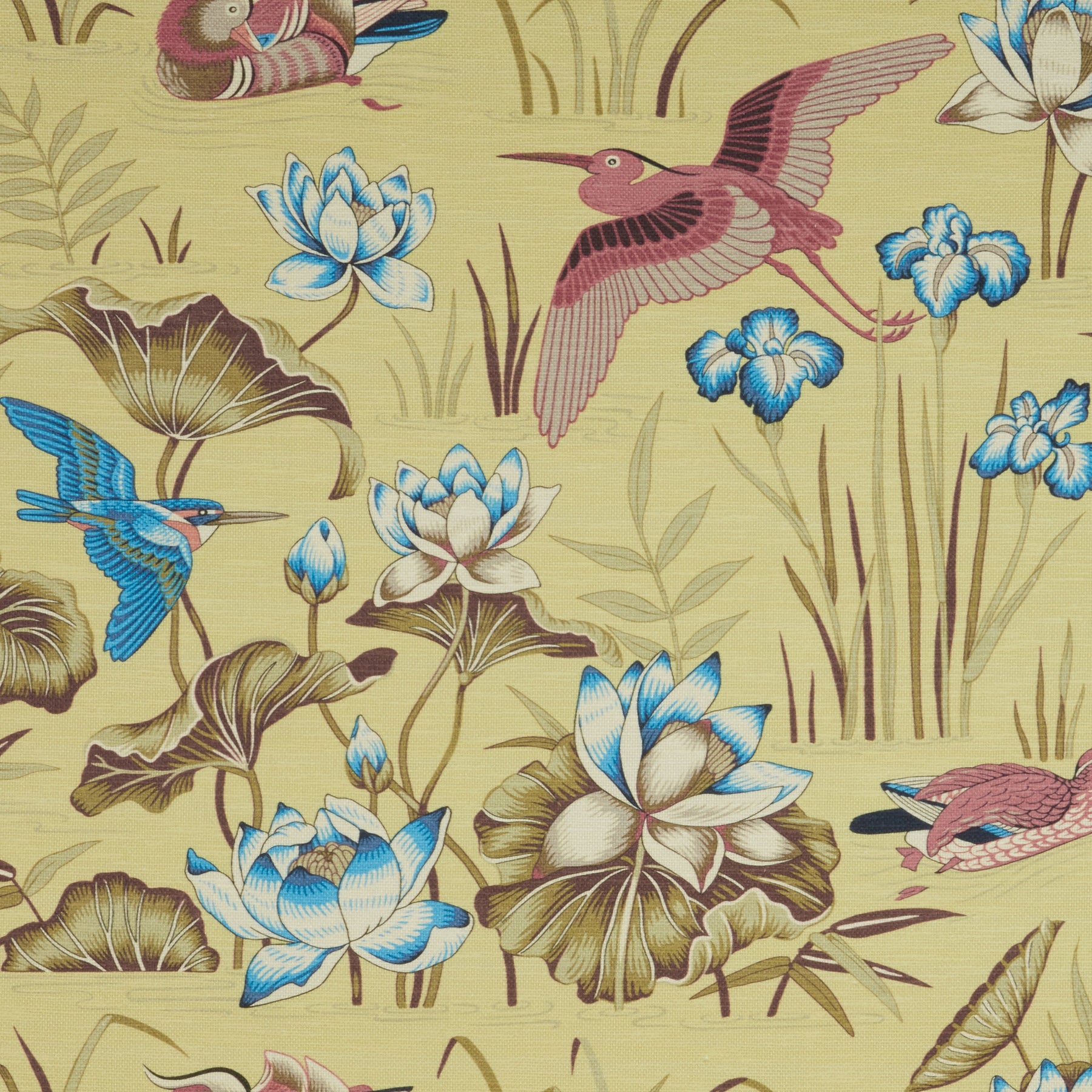 iLiv Siyuri Fabric Mimosa