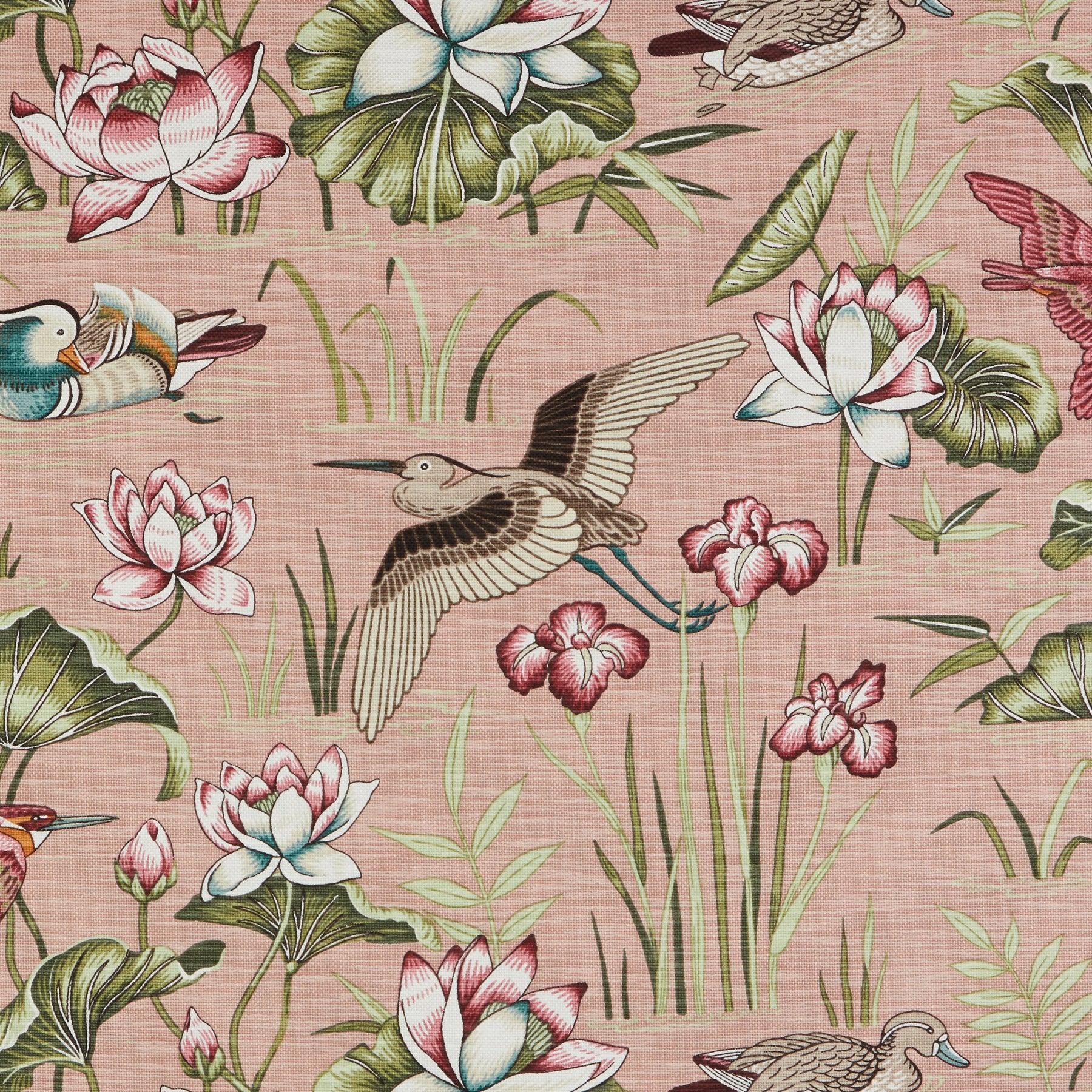 iLiv Siyuri Fabric Pink Cloud
