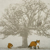 Tatton Fabric In Autumn
